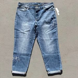 Talbots Blue Skinny Jeans
